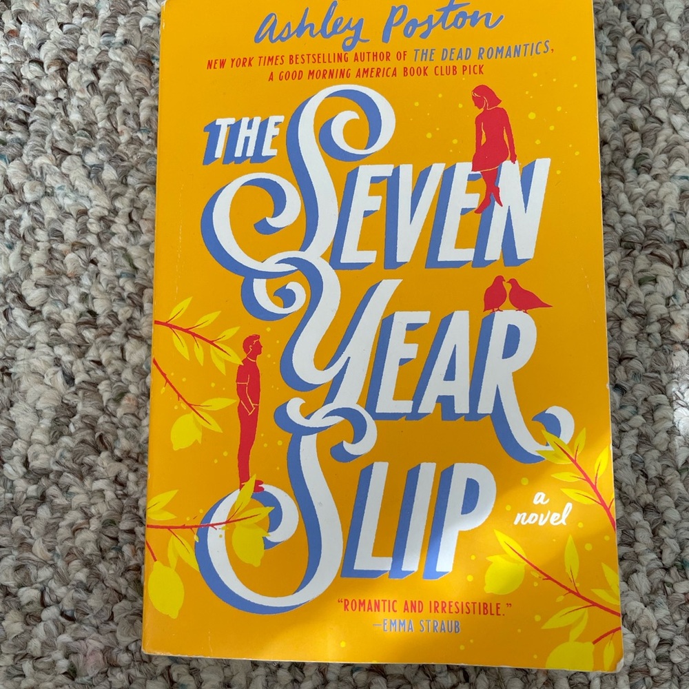 The Seven Year Slip Novel, Ashley Poston